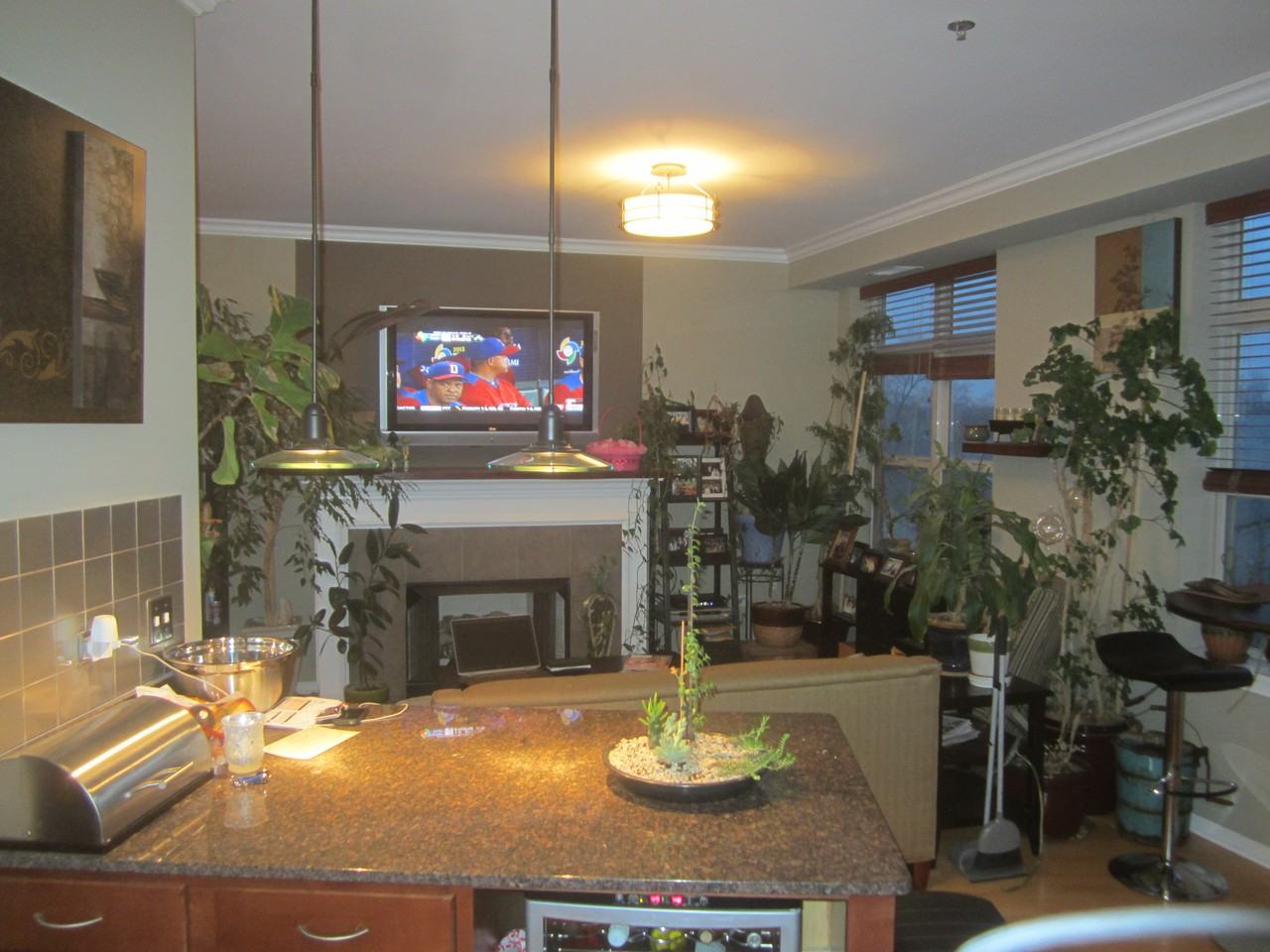 2951 N Clybourn Ave #405