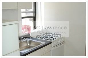 412 W 4th #4RE - Photo 3 of 4