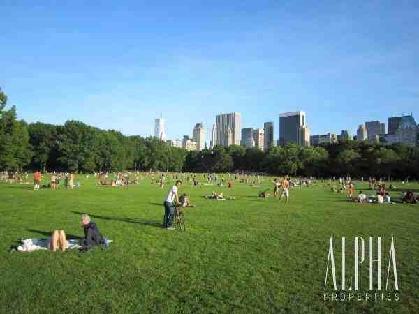 305 E 80th St 6RW - Photo 3 of 6