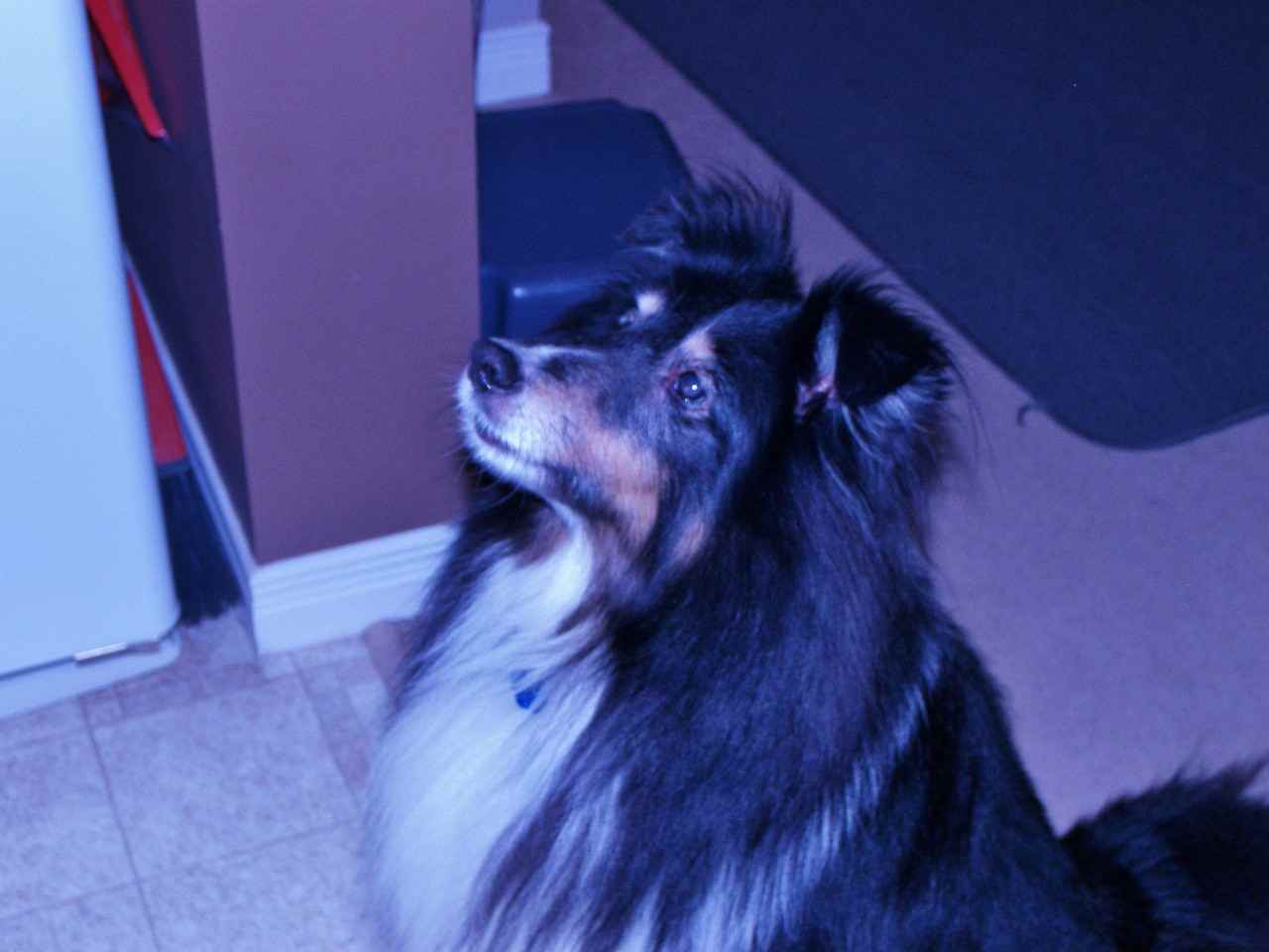 78 Blue Lace Crescent - Photo 3 of 4