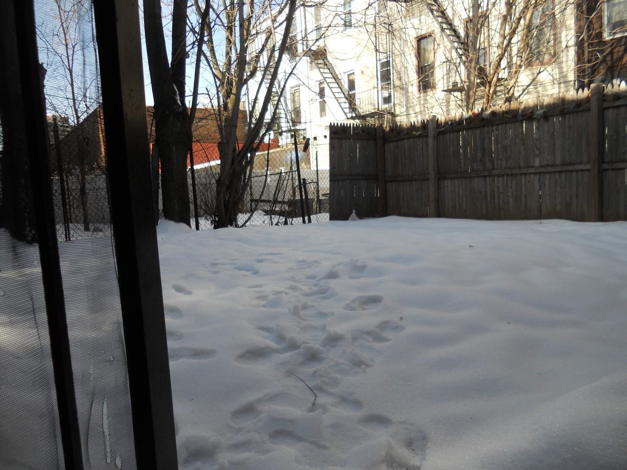 39 Locust St - Photo 3 of 7