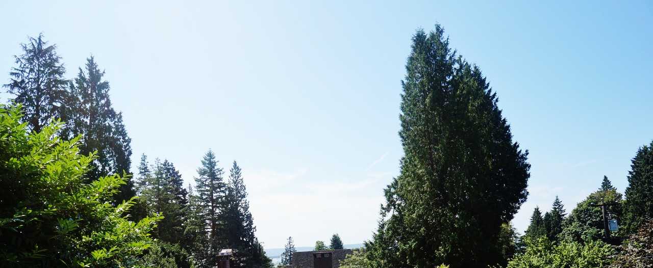 1450 29th St - Photo 2 of 8