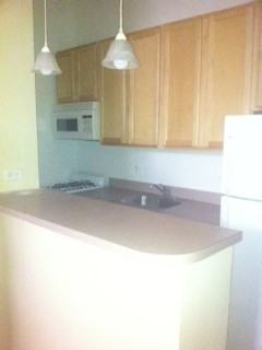 2828 N Pine Grove Ave #114