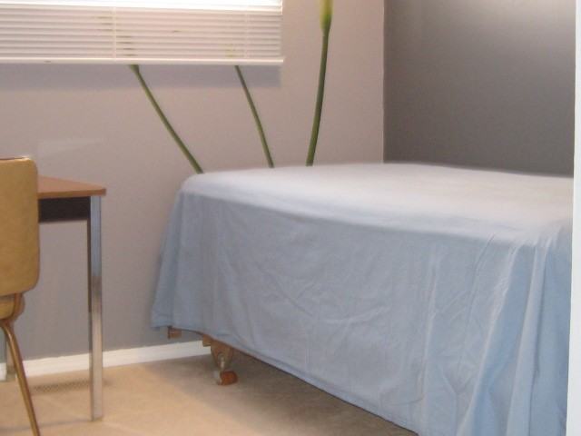 2358 Parliament Ave - Photo 2 of 3