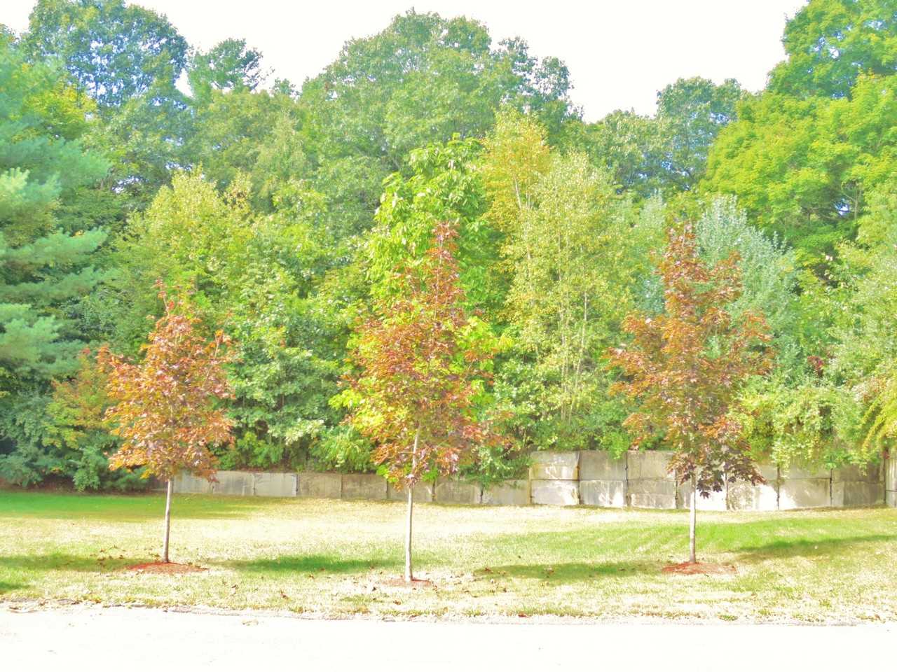 966 Victory Hwy - Photo 2 of 14