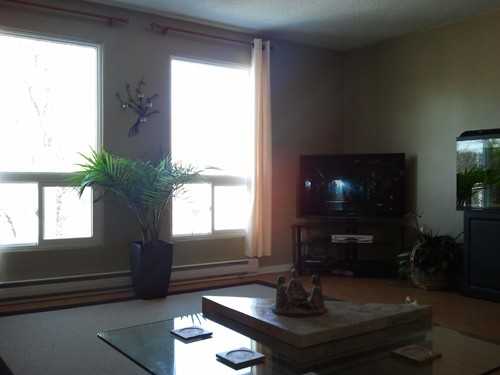 178 Silver Aspen Crescent - Photo 3 of 12