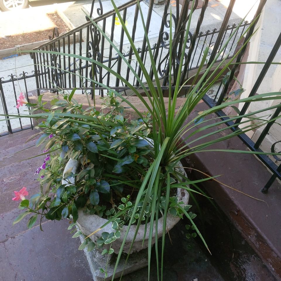 704 Park Pl - Photo 2 of 17