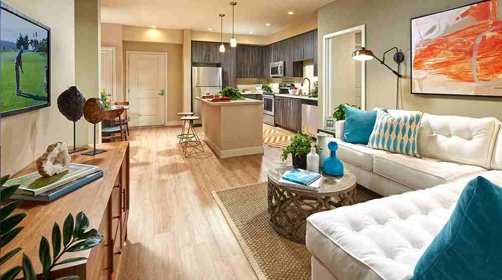 Ascent - Photo 2 of 34