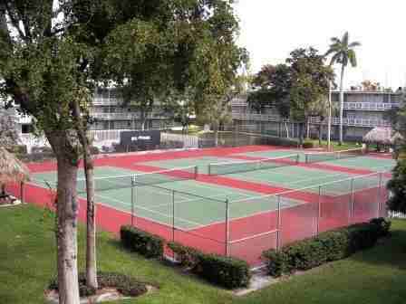 Set Point Garden - Photo 3 of 16