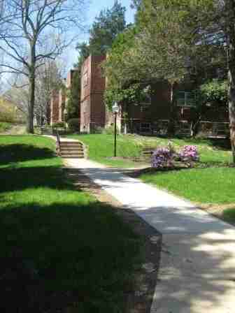 Rosemore Gardens - Photo 3 of 16