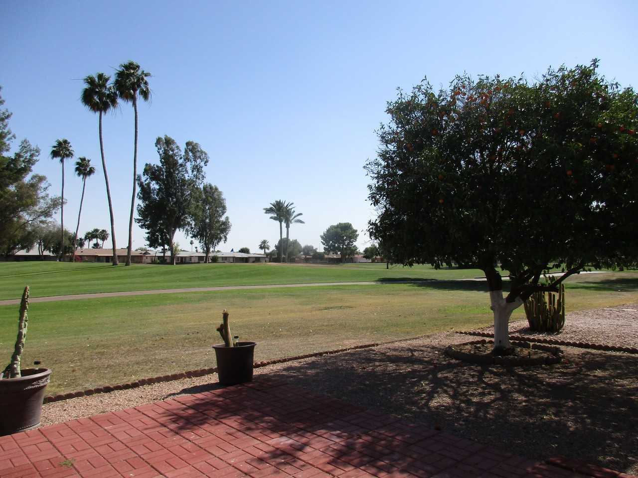 4825 E Dolphin Ave - Photo 3 of 24