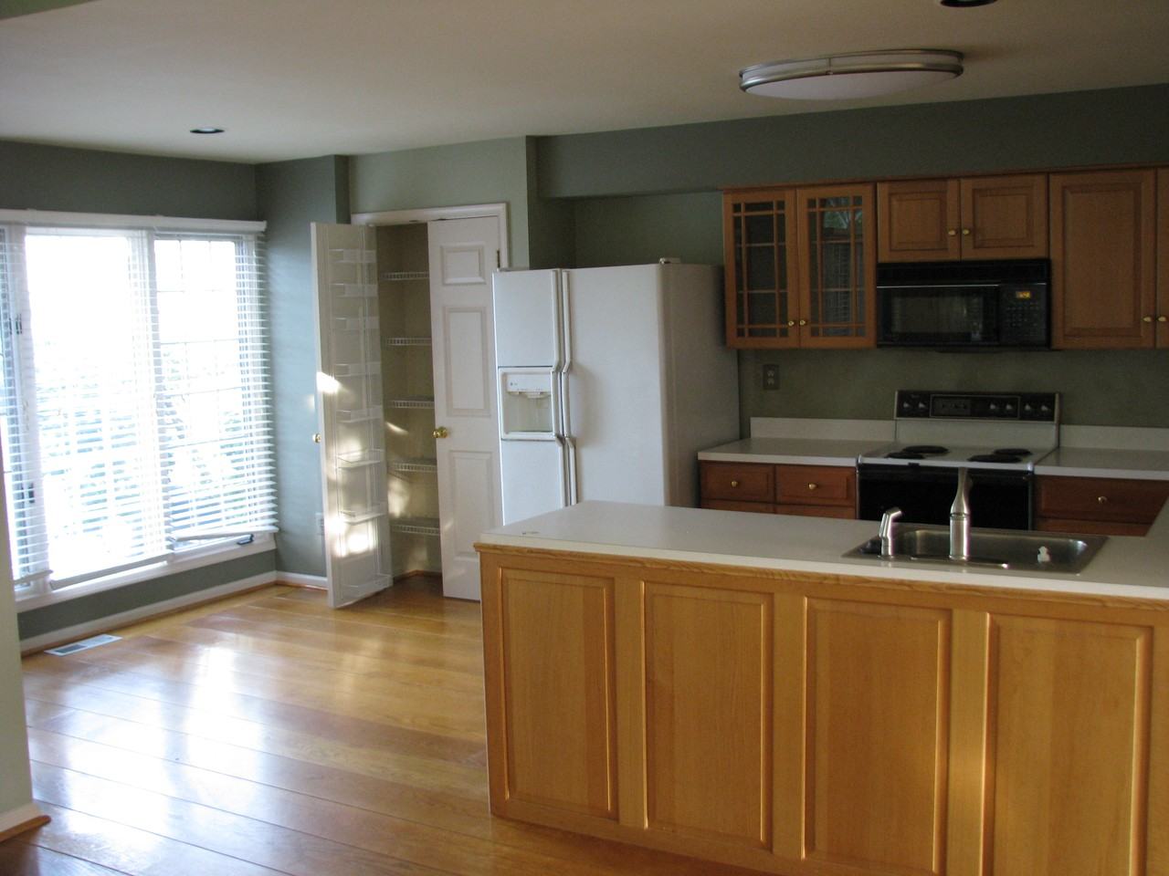 311 Whistling Swan Ln - Photo 3 of 12