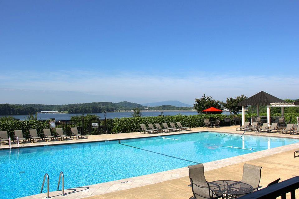 5908 Lake Resort Terrace - Photo 3 of 15