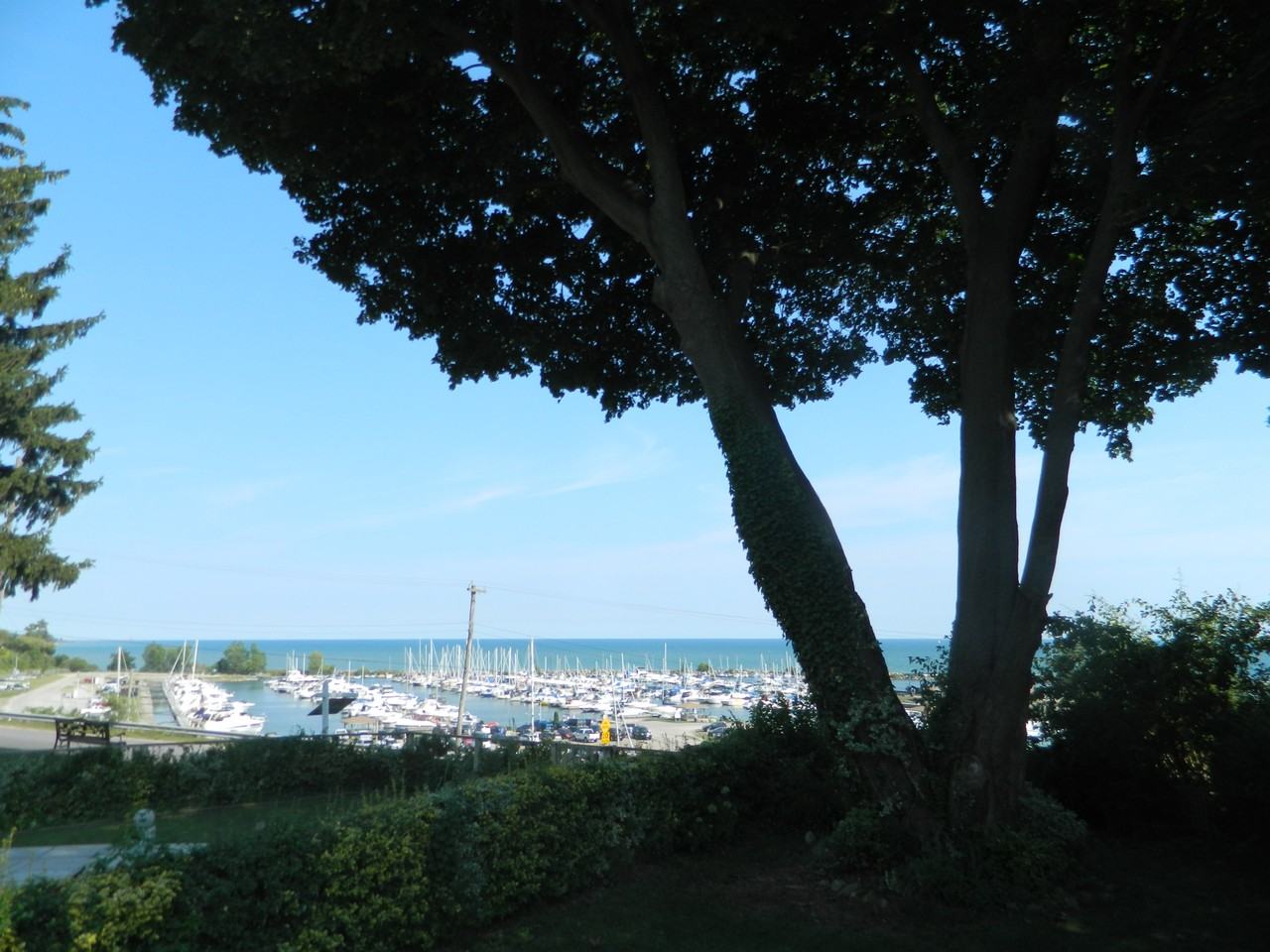 13 Brant Ave - Photo 2 of 3