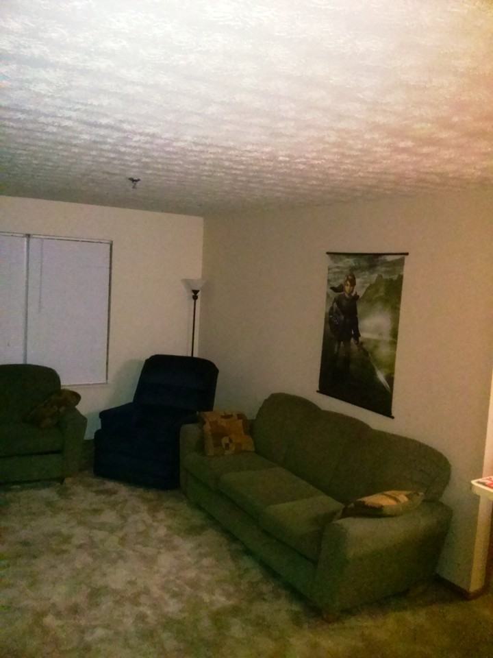 5296 Pine Lake Dr - Photo 2 of 5