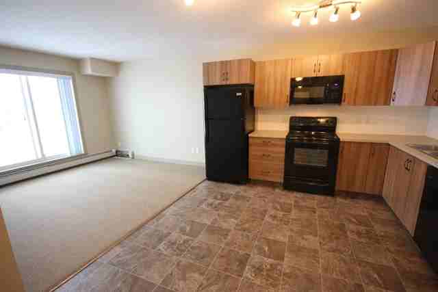 301 Timothy Drive Red Deer, Alberta T4P 0P1 - Photo 2 of 5