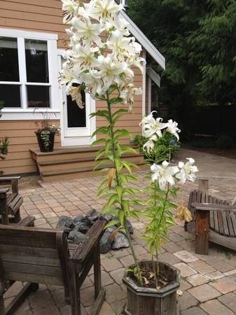 18728 35th Ave NE - Photo 2 of 5