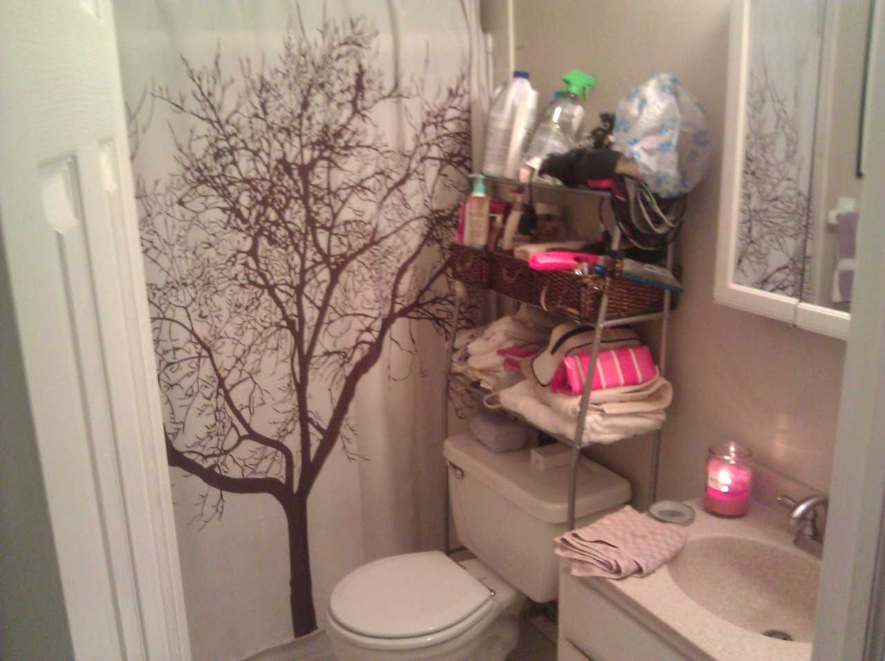 735 Annadale Rd - Photo 3 of 6