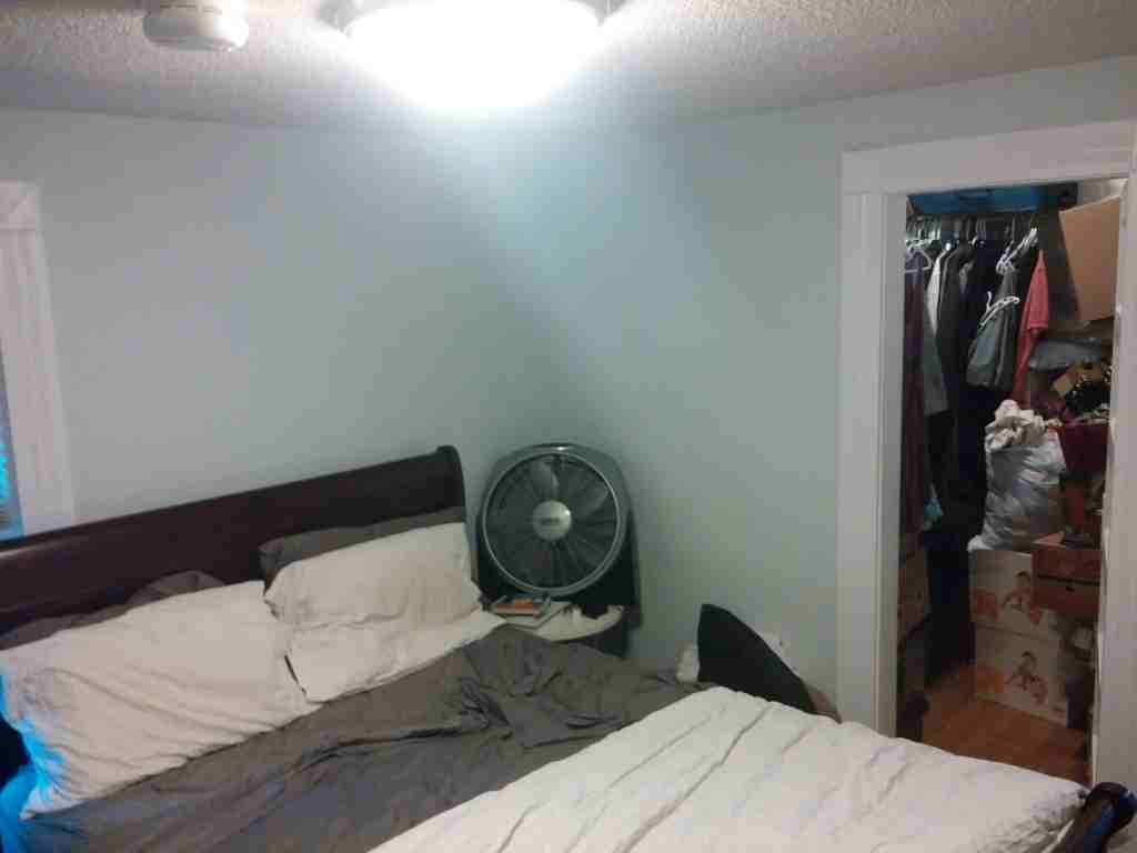 1117 6th St #3 - Photo 3 of 7
