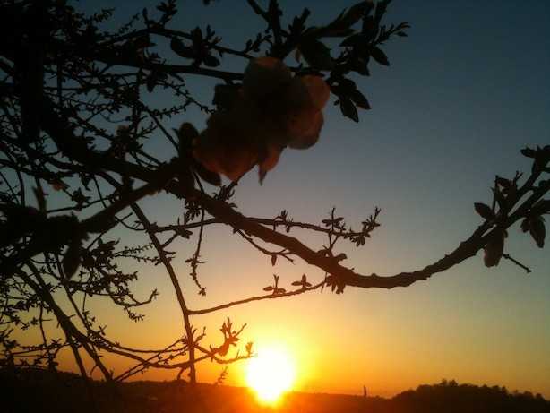 8720 Ridge Rd - Photo 2 of 8