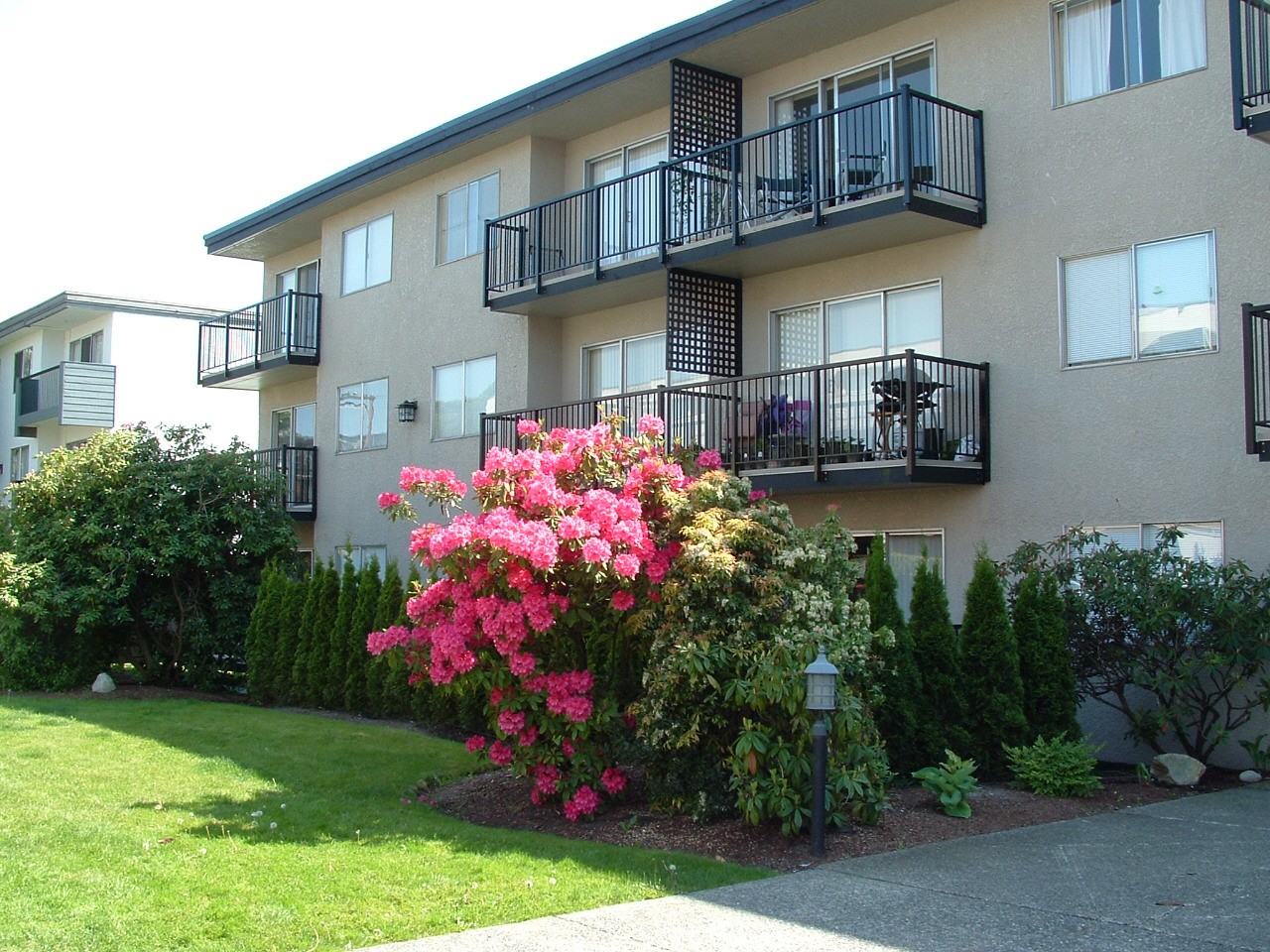 255 2nd St E, North Vancouver, BC V7L 1C4 1 Bedroom Apartment for Rent