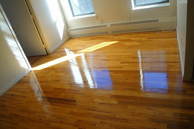 343 Fox St - Photo 3 of 10