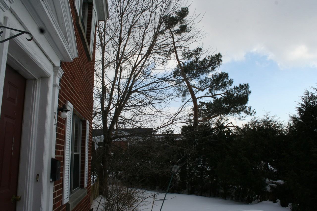 237 Barclay Rd - Photo 2 of 8