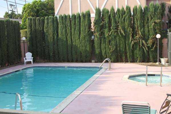 147 W Acacia Ave - Photo 2 of 11