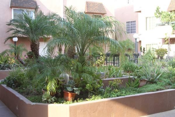 147 W Acacia Ave - Photo 3 of 11