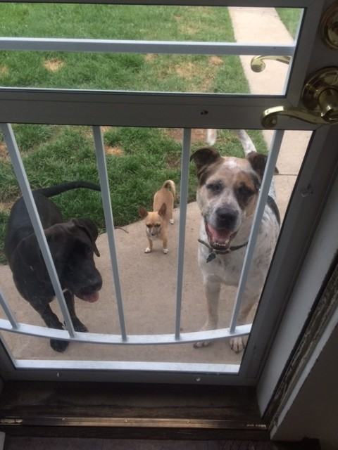 450 S High St - Photo 2 of 7