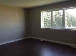 1189 Medway Park Dr - Photo 3 of 5