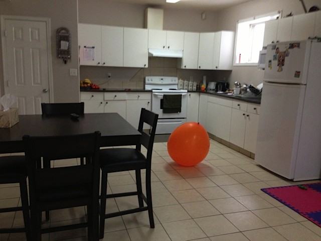 1062 Jones Crescent NW - Photo 3 of 4