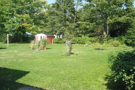 47 Edith Ave - Photo 3 of 13