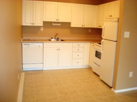 435 Franklyn Rd - Photo 2 of 11