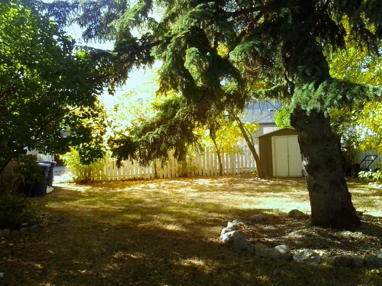 212 4 St E - Photo 3 of 7