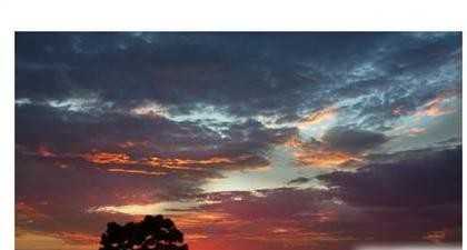 1860 Torrey Pines Rd - Photo 2 of 3