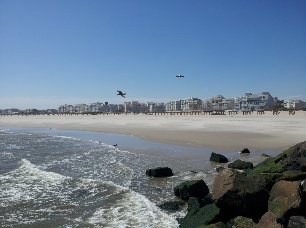 6211 Ocean Ave N - Photo 3 of 16