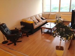 1160 Rue Saint Mathieu #1411