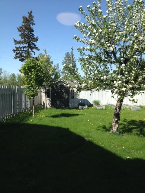 1446 Van Bien Ave - Photo 2 of 6