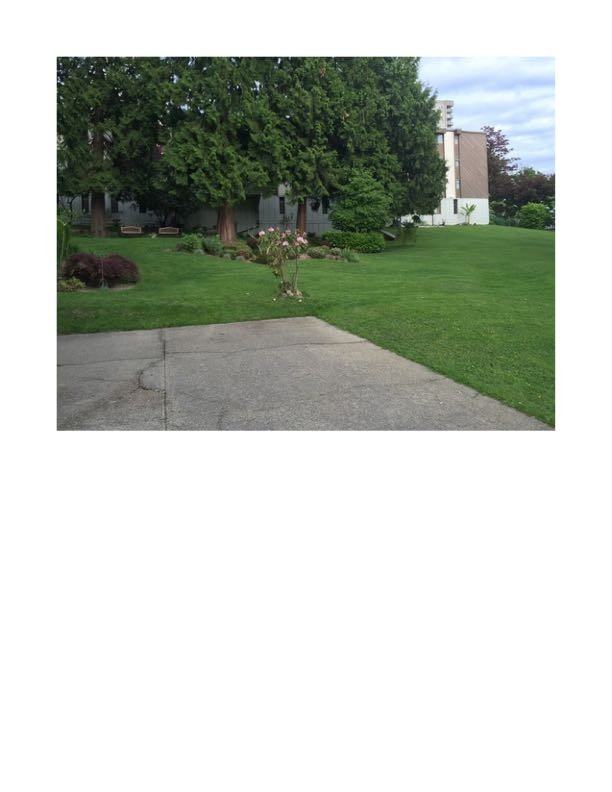 3921 Carrigan Ct - Photo 2 of 9