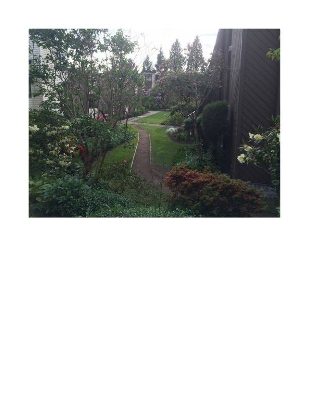 3921 Carrigan Ct - Photo 3 of 9