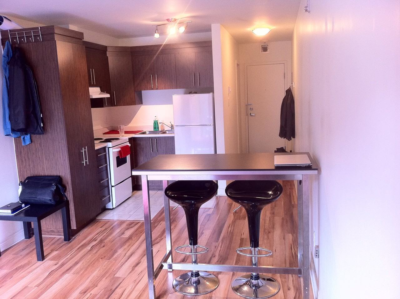 60 Avenue des Pins, Montréal, QC H2W 1R1 Studio Apartment for 658