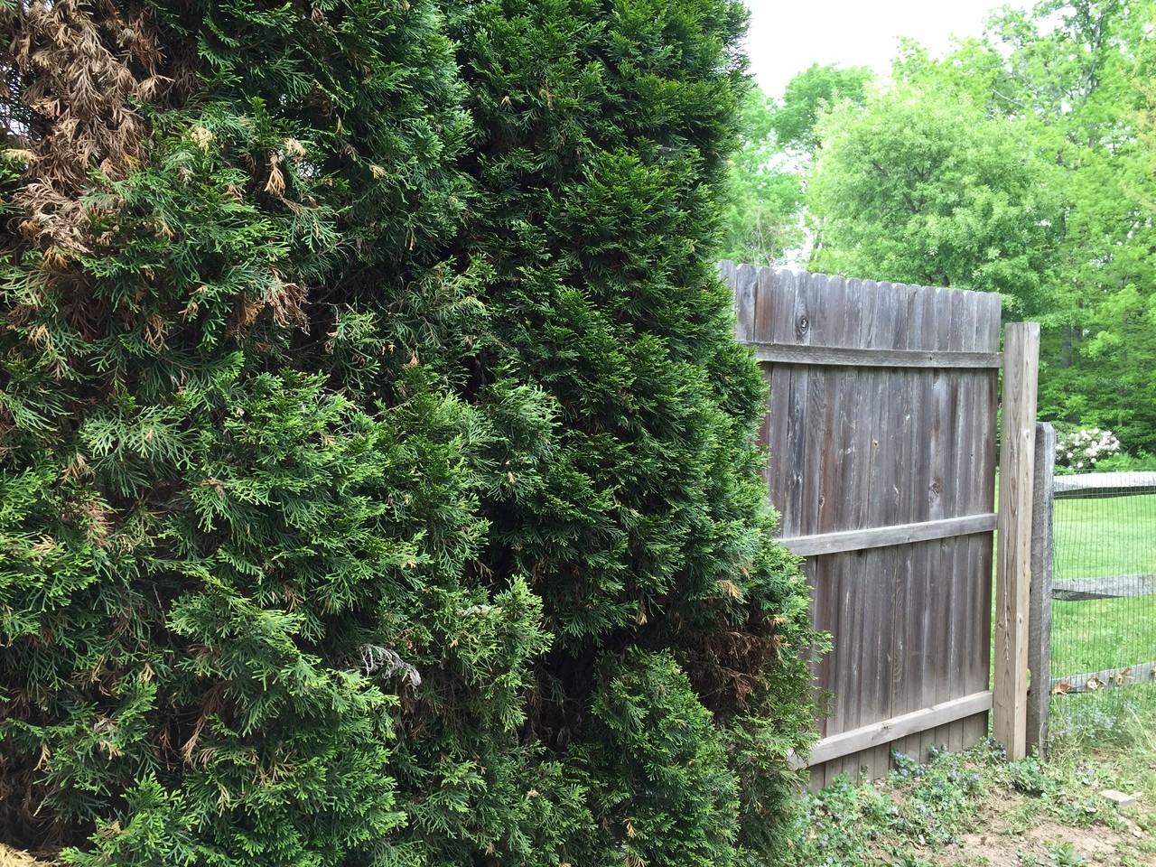 152 Deer Run Rd - Photo 3 of 17