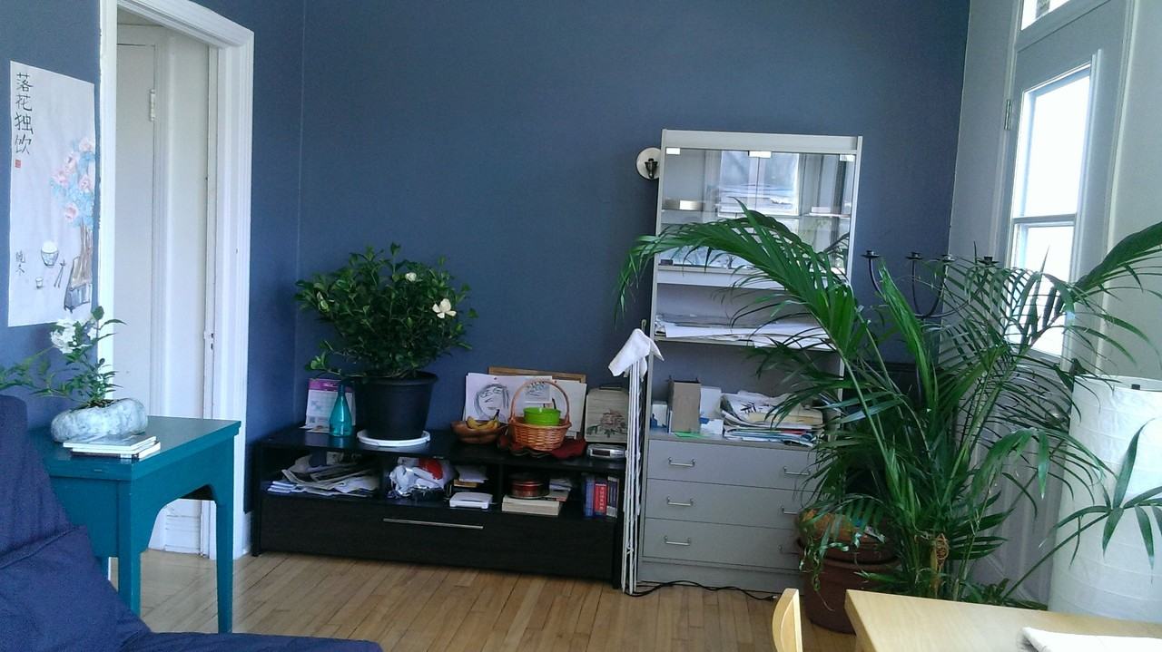 2262 Avenue Papineau - Photo 2 of 11