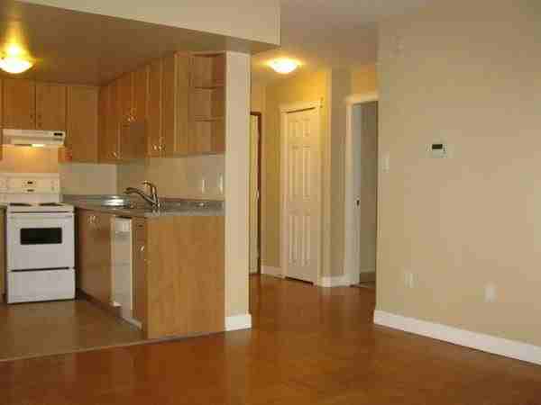 1540 Davie St - Photo 3 of 8