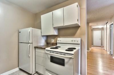 1240 Donald St - Photo 3 of 13