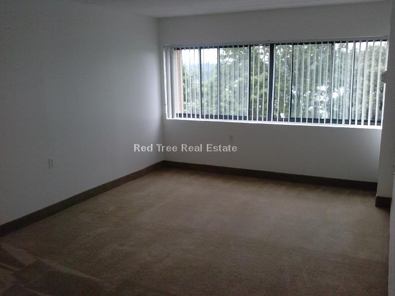 1925 Commonwealth Avenue #415B