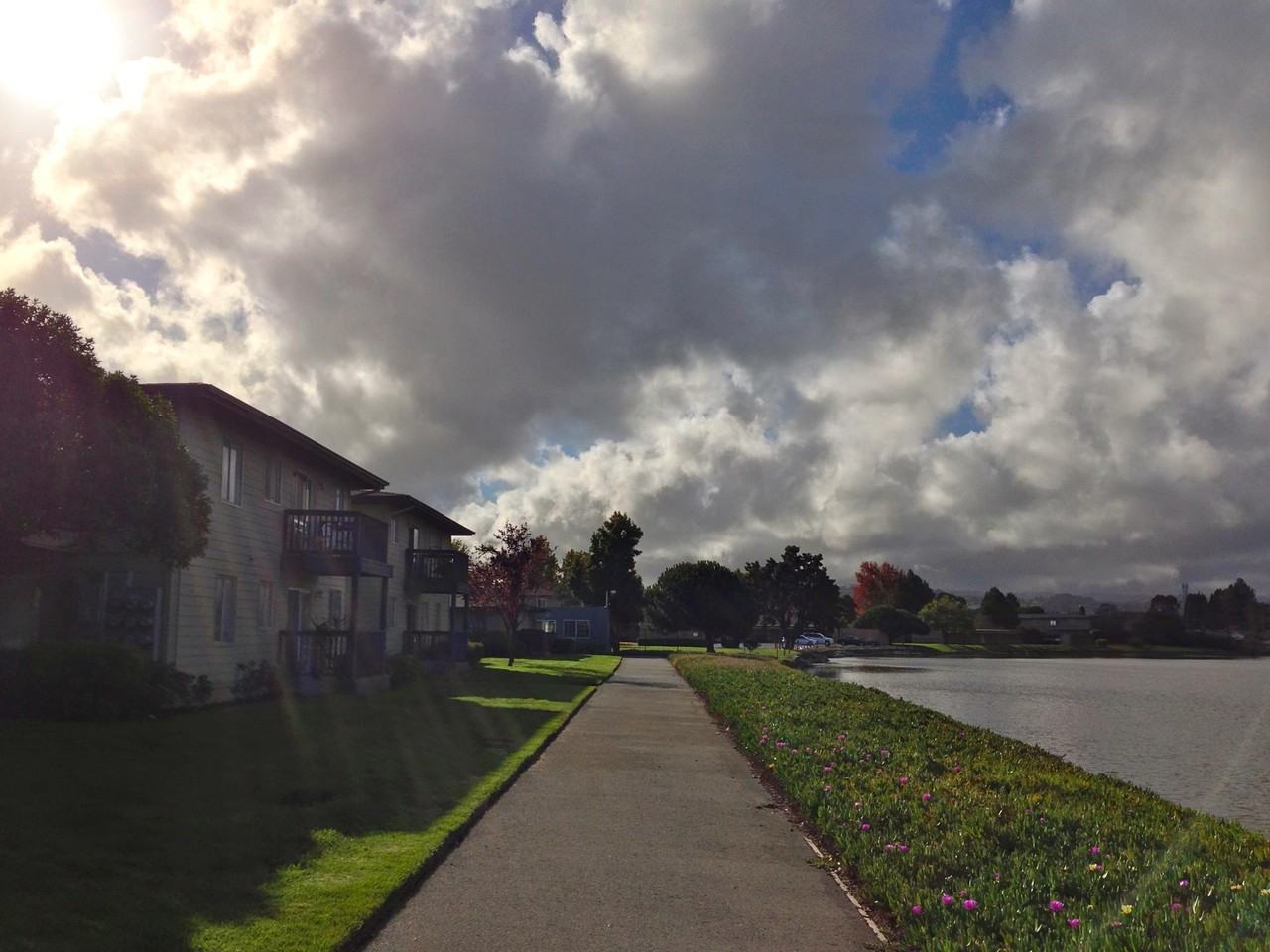 1655 Marina Ct - Photo 3 of 22