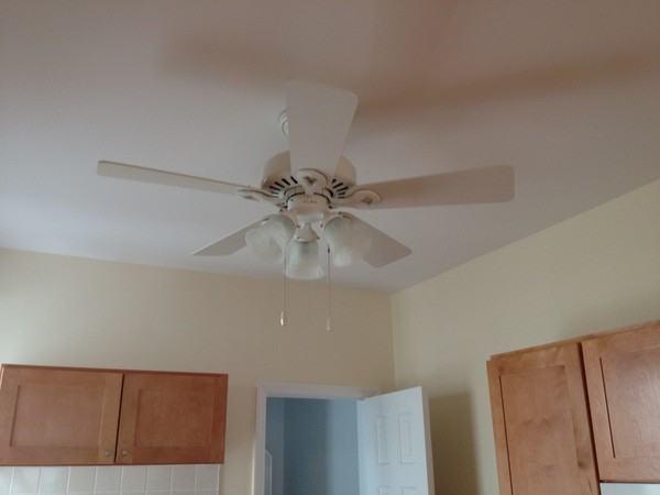 411 Cortelyou Ave - Photo 3 of 11