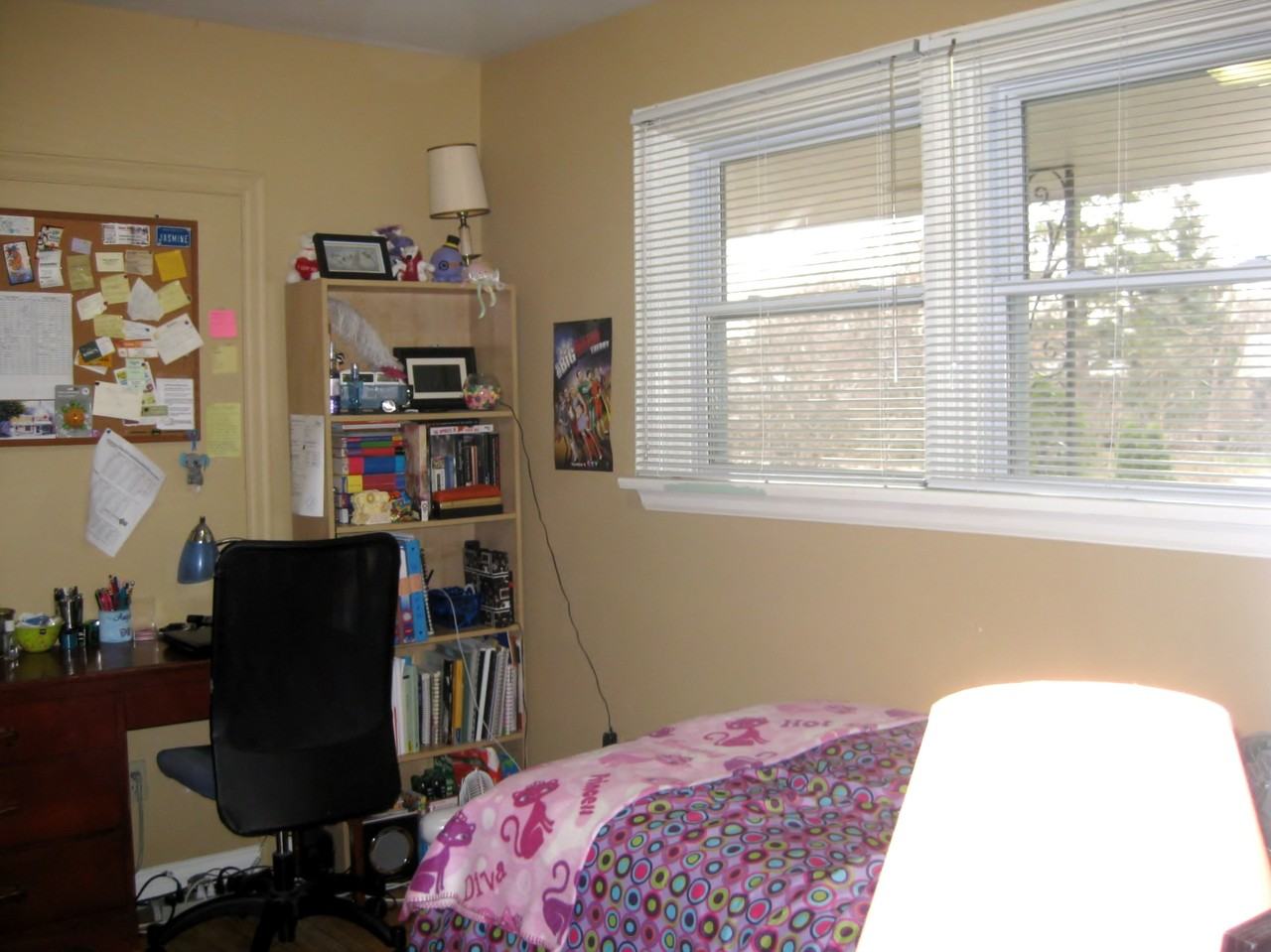 1037 Brough St - Photo 3 of 21